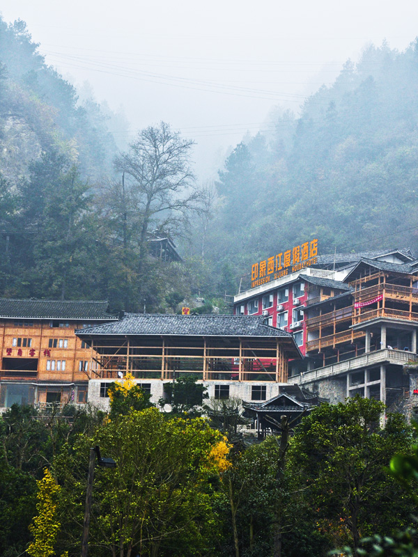 ������ľƵ�