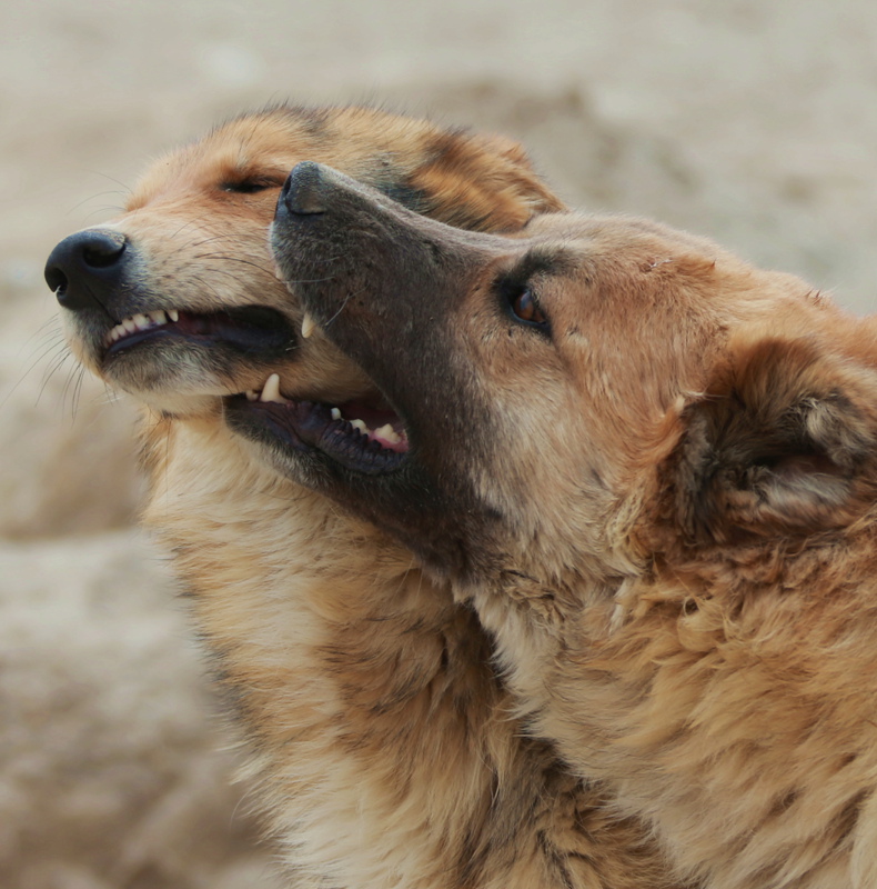 �����޼�