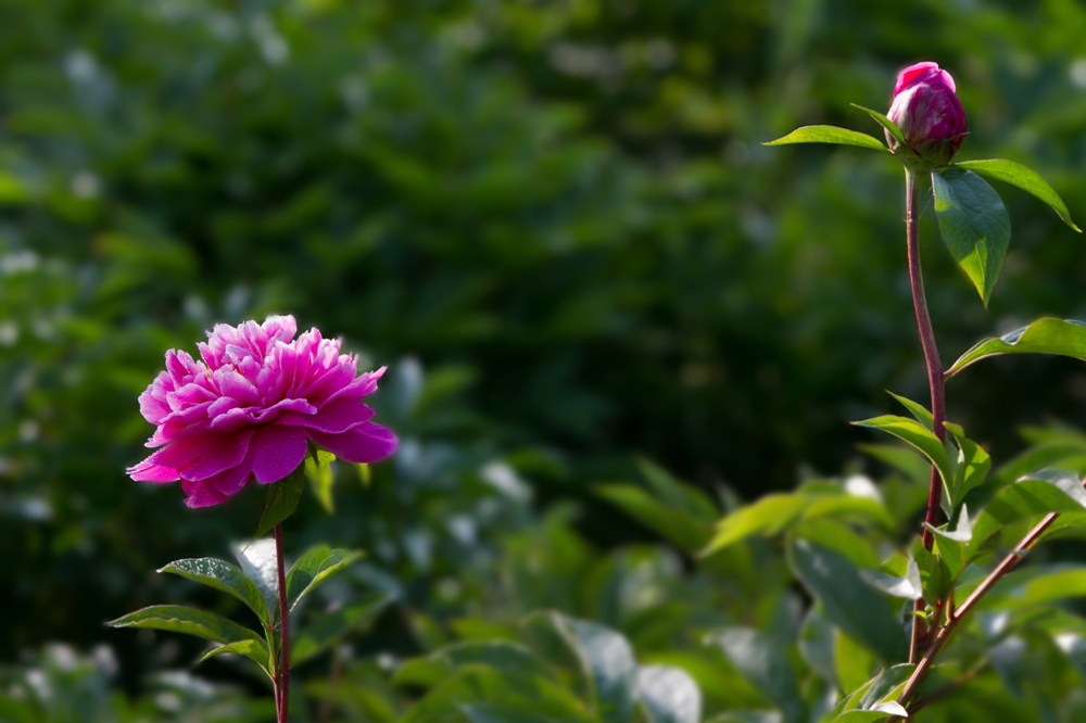 δ���� (17 - 33)_����.jpg