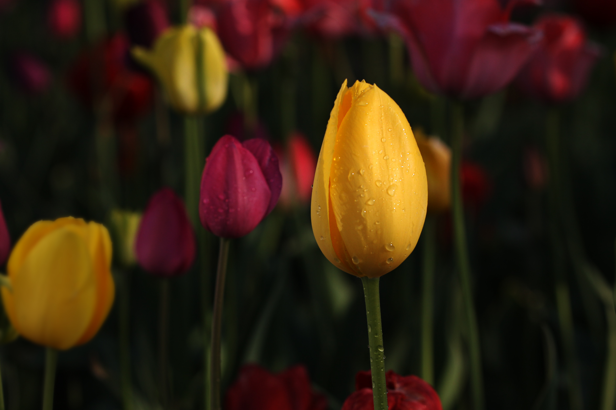 �β��������ٻ���š�