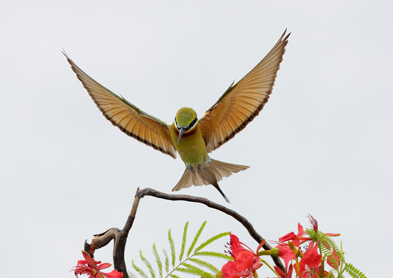 �仢����ͼ 1.jpg