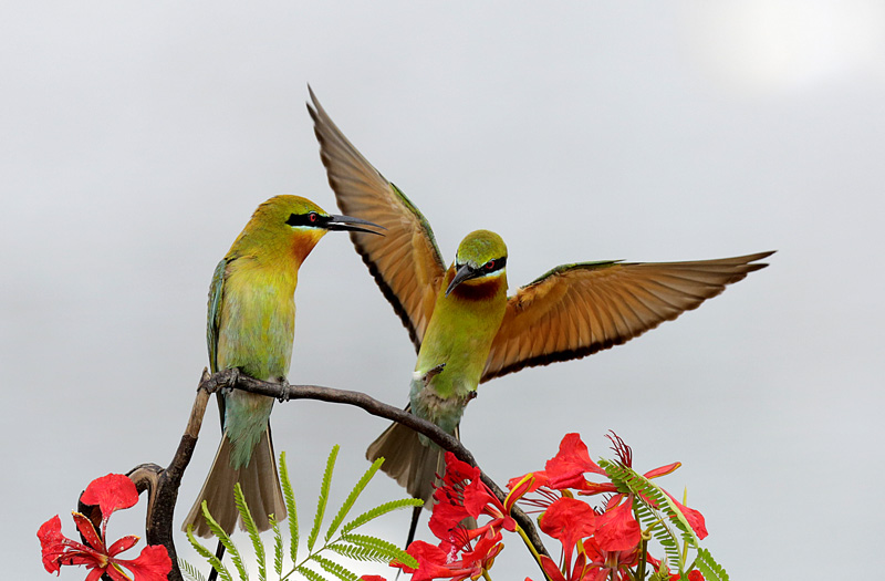 �仢����ͼ 2.jpg