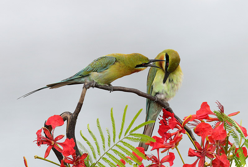 �仢����ͼ 3.jpg