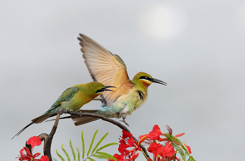 �仢����ͼ 4.jpg