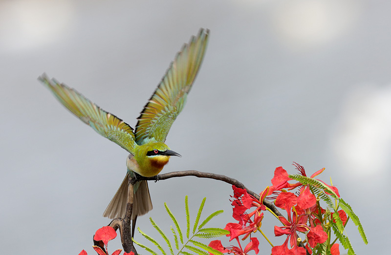 �仢����ͼ 5.jpg