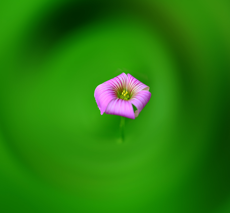 DSC_6886 ����.jpg