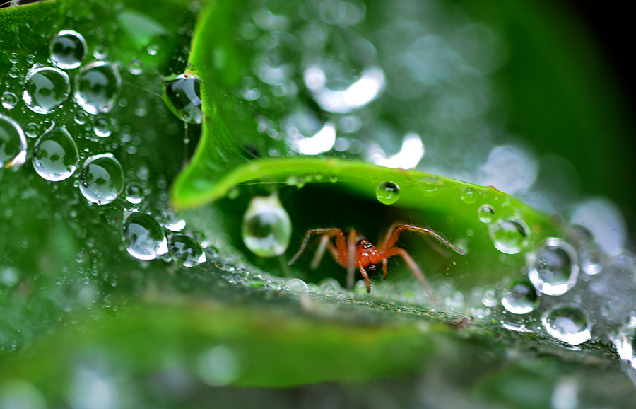 DSC_5447 ����A.jpg