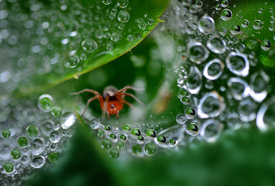 DSC_5449 ����A.jpg