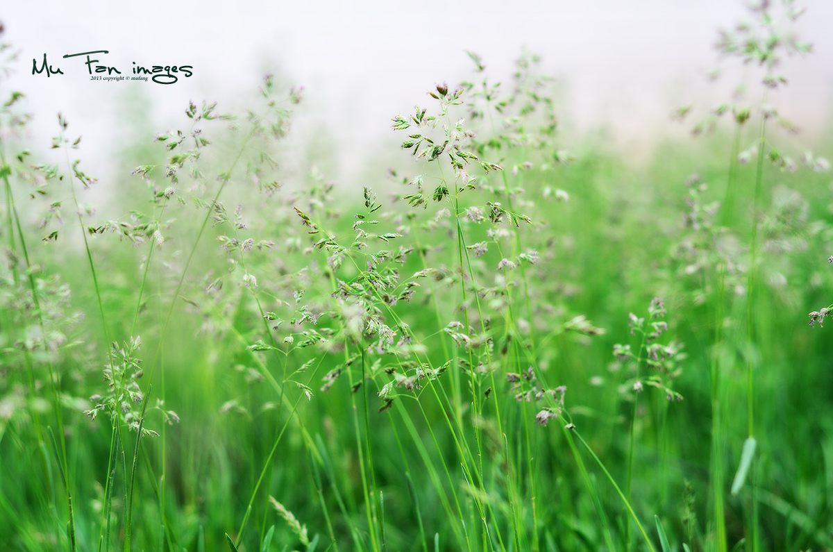 ����ϵ��