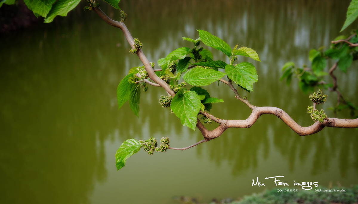 ����ϵ��