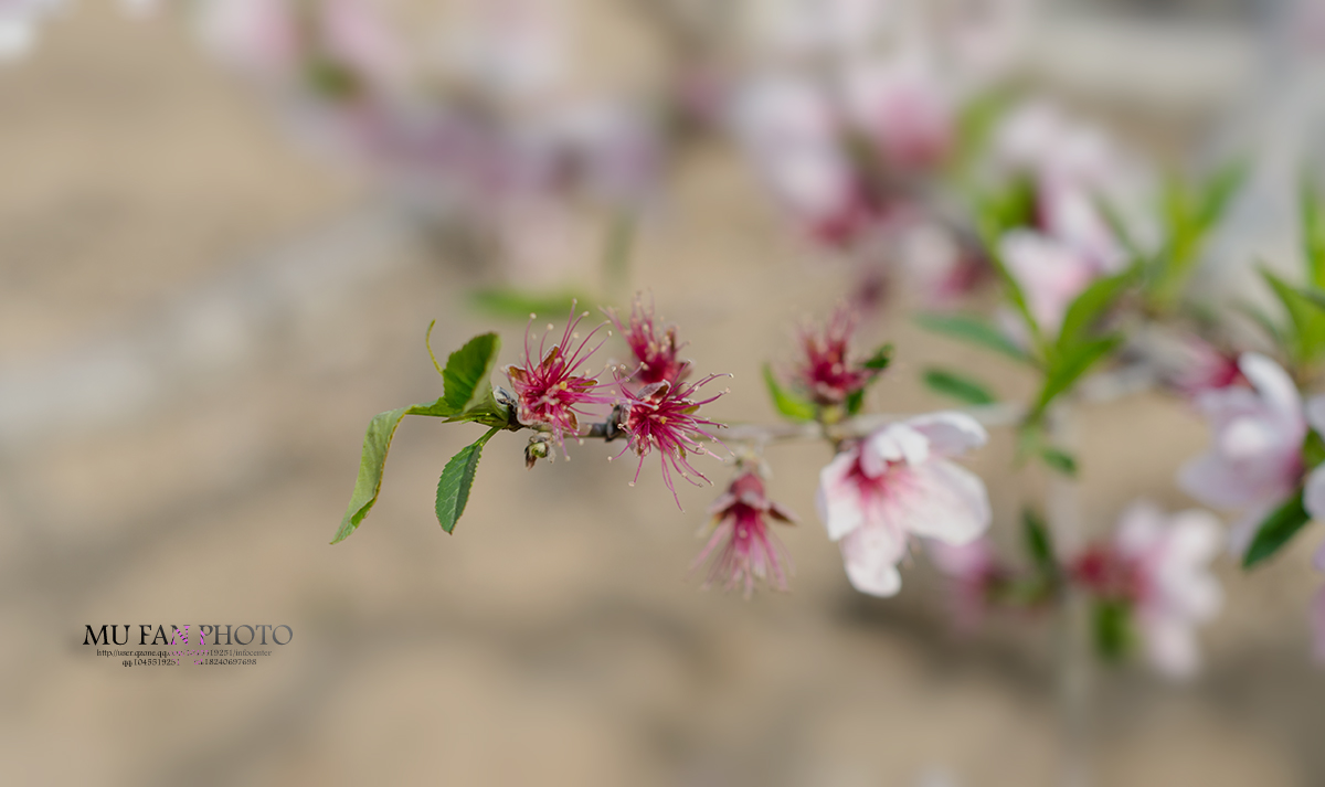 ����ϵ��