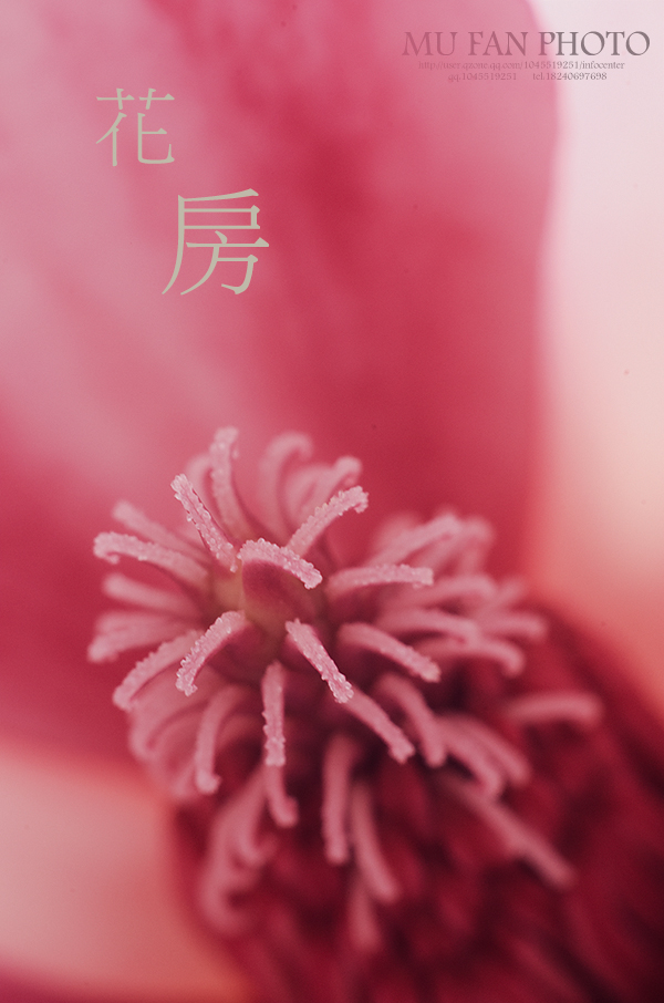 ���»���