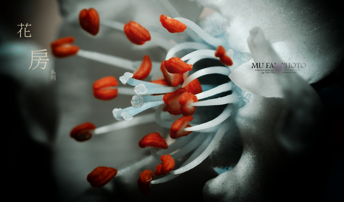 ���»���