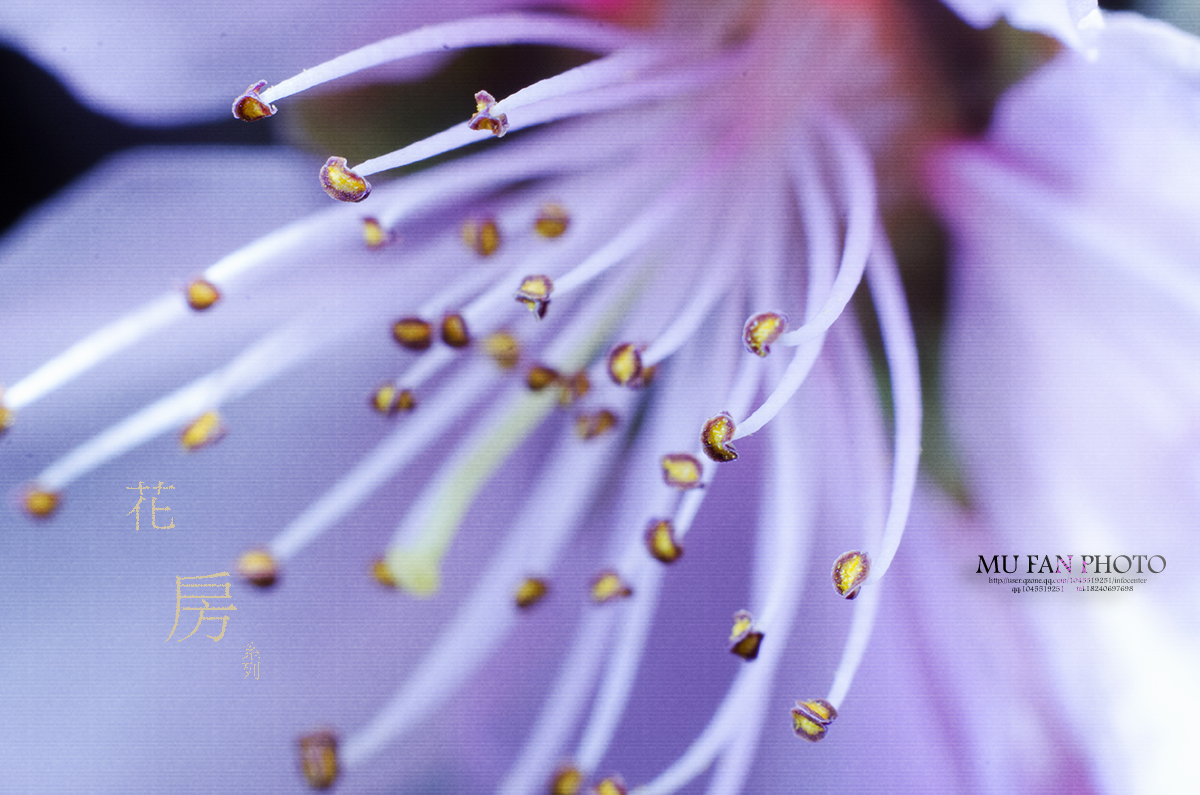 ���»���