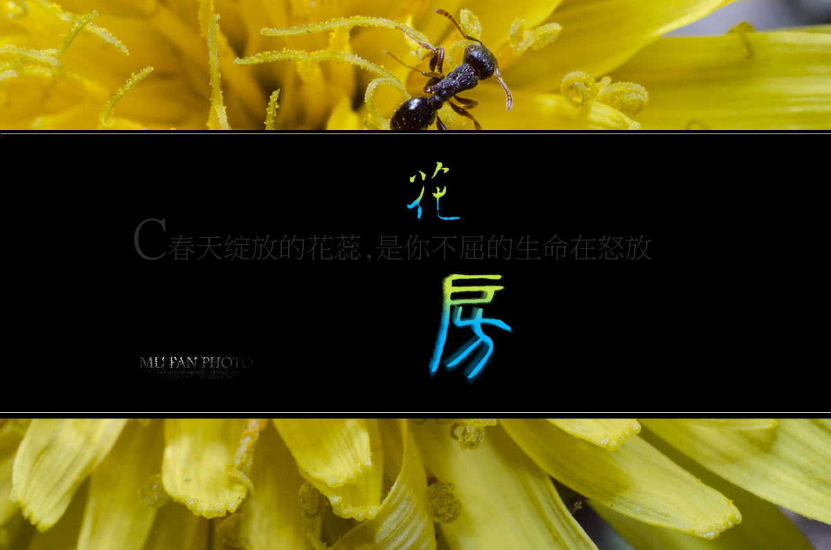 ���»���