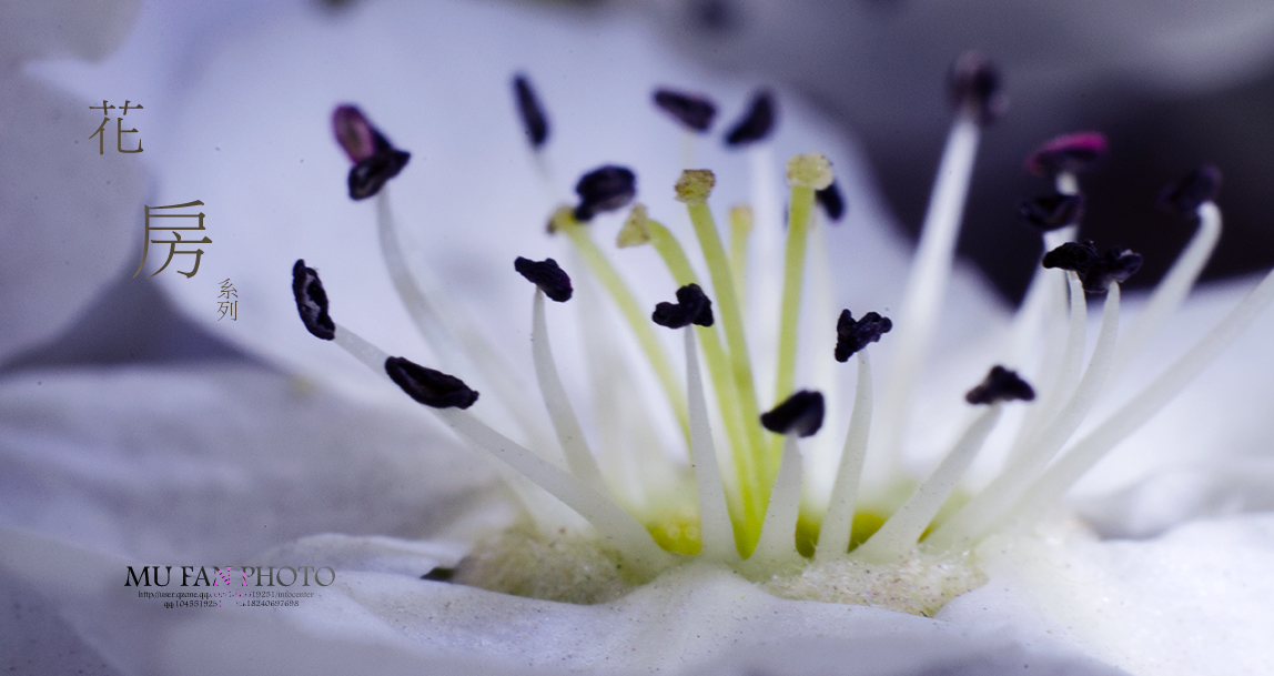 ���»���