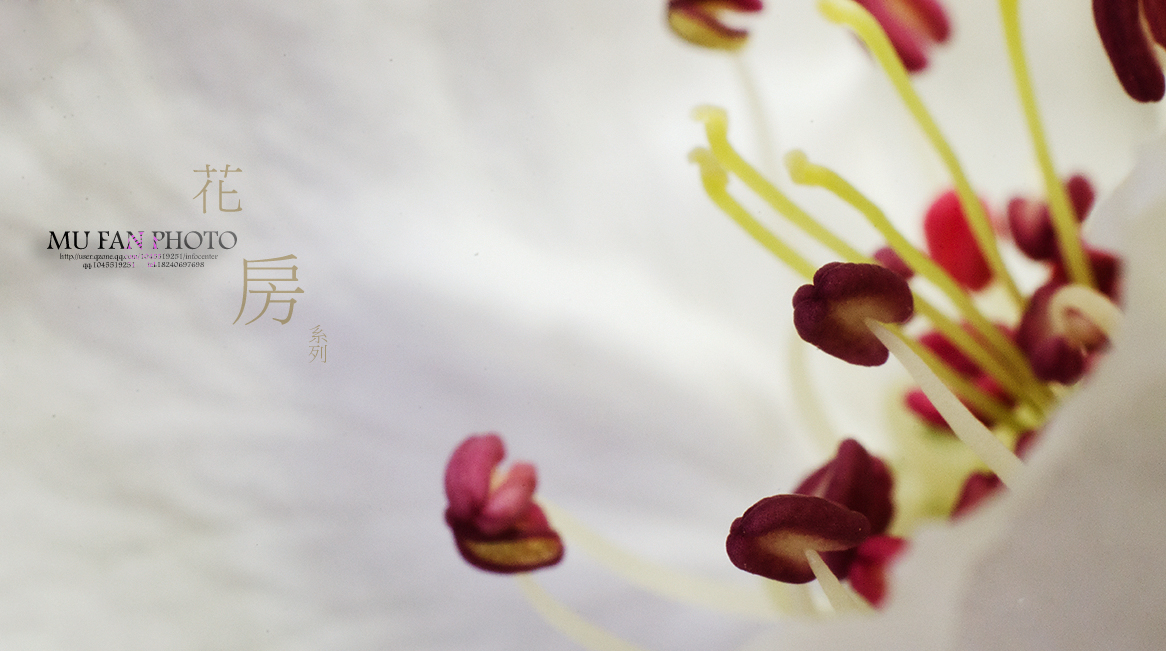 ���»���