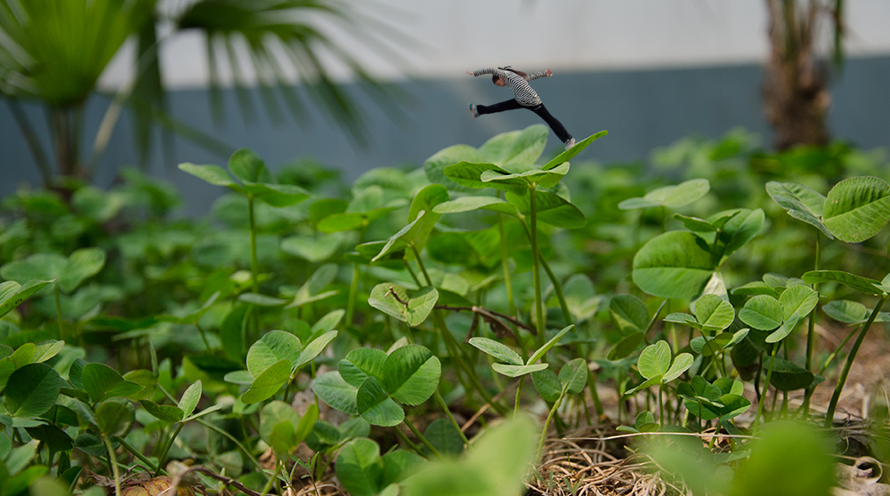 ������Ӱ