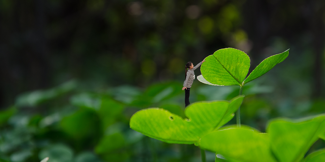 ������Ӱ