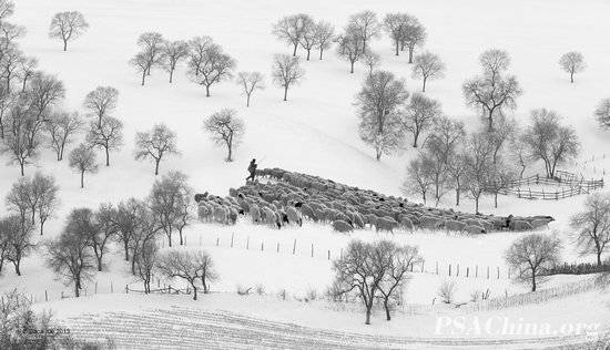 01.л���RPSͭ����Ʒ����������Winter Pasturing.jpg