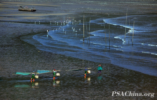 03.������Ʒ�����Ϻ���Going for Sea.jpg