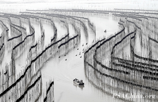 13.������Ʒ�������ϡ�Rhythm of Sea.jpg