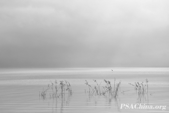 20.�˽�����Ʒ����������̫����Still Taihu lake.jpg