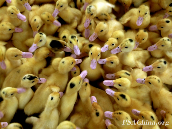 07.��������Ʒ�����ȵ㻰�⡷Hot topics.jpg