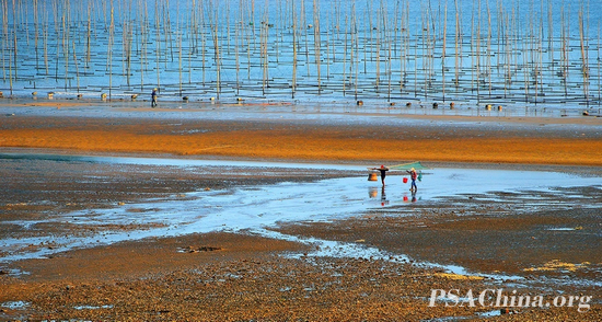 12.�a����Ʒ�������������After the fishing.jpg