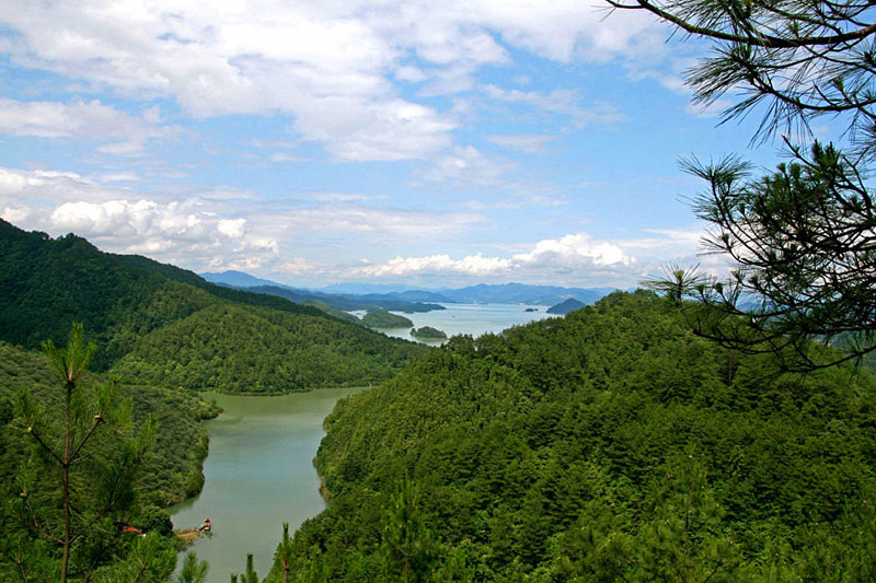 ǧ���� (4)_����.jpg