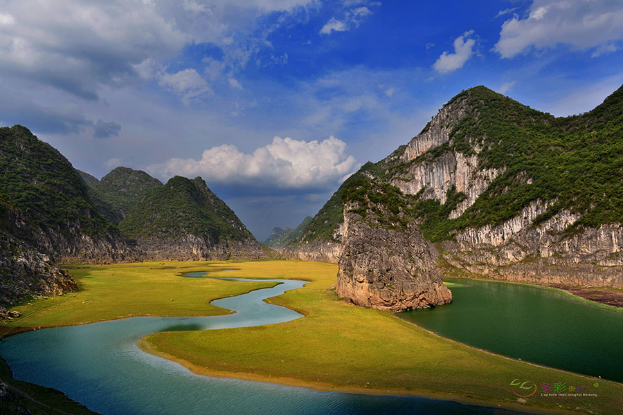 DSC_9013 ����.jpg