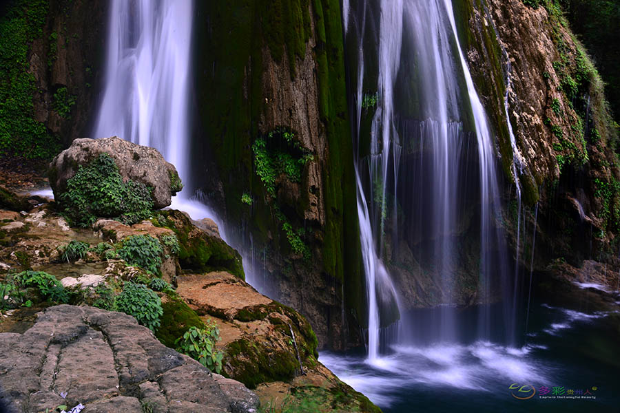 DSC_8592 ����.jpg