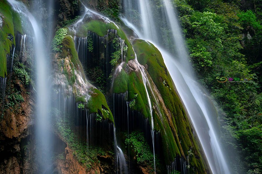 DSC_8700 ����.jpg