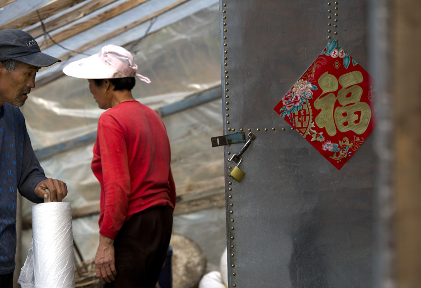  ����������ո�һ�յ�������æµ�п�ʼ��