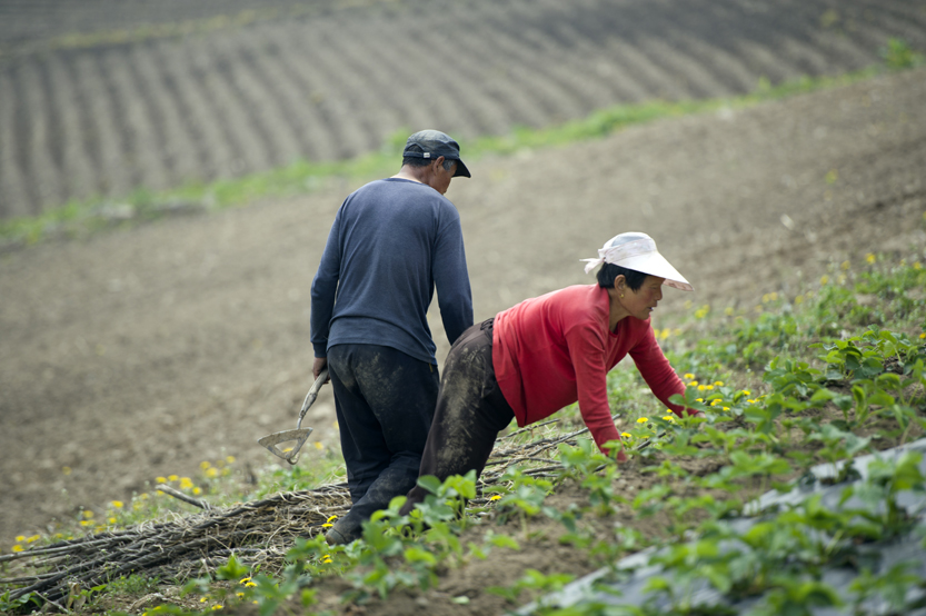 �ѹ�Ӣ�������������ģ�������ɾ����������������ֵĵ��֡�