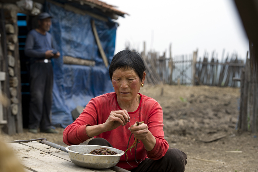 ����ɻ�ĺ��黹û���£������������ժ��ɽҰ��׼��������