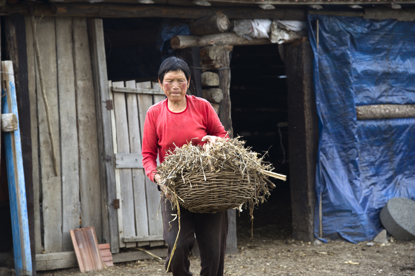 һ�������õĶ�ݽ����Ȼʹ���������¶����һ��ƣ������ɫ��