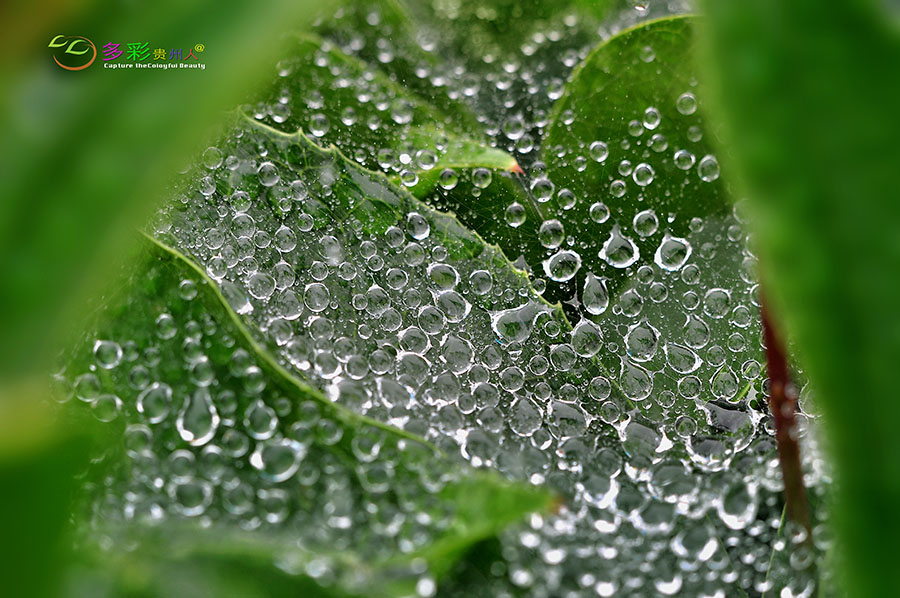 DSC_0156 ����.jpg