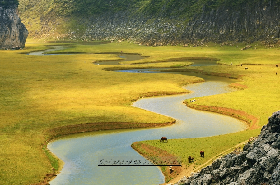 _DSC0590 ����.jpg