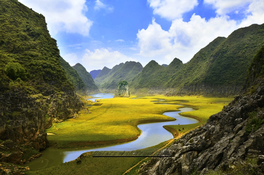 _DSC0600 ����.jpg