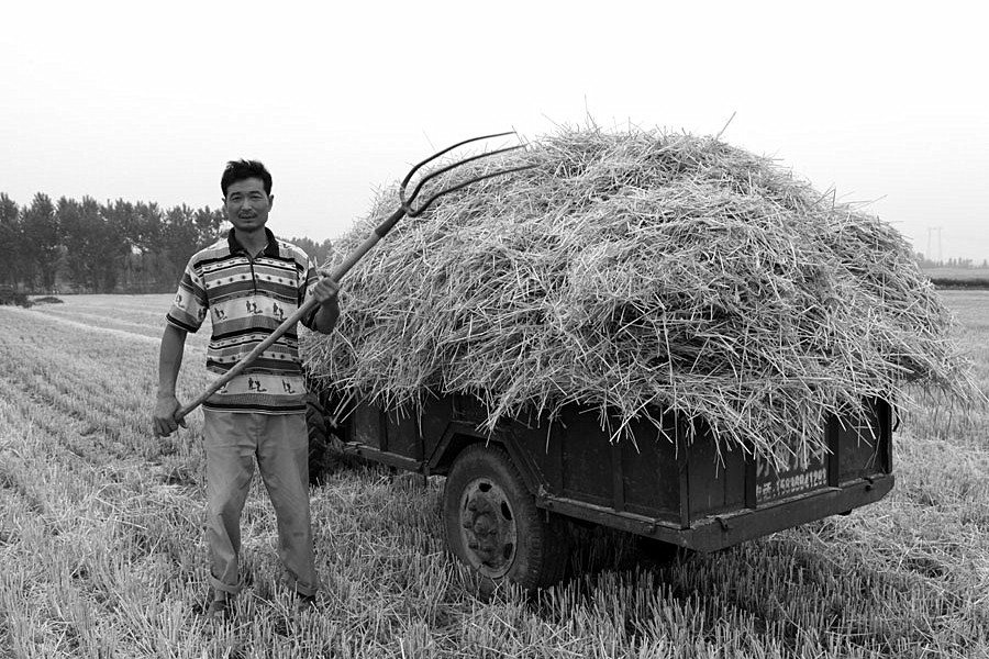 ������Ƭ 019_����.jpg