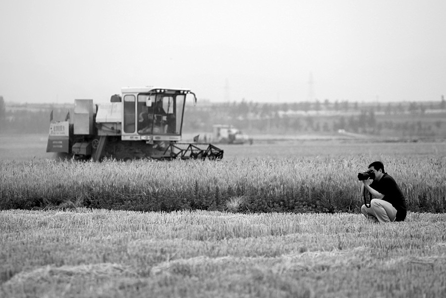 ������Ƭ 192_����.jpg