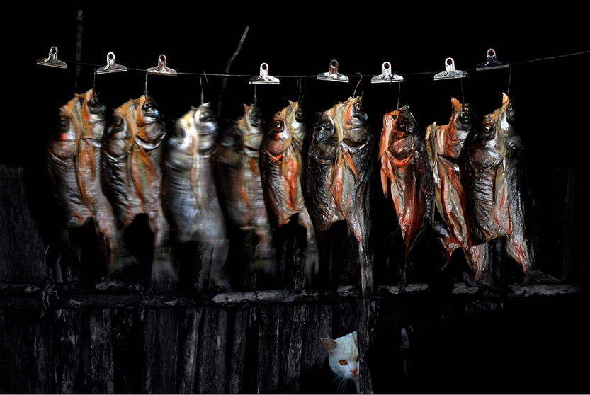 �������е��㡷 �ַ� ��.jpg