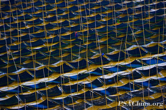 ����Դ��Ʒ �ϲ˳���.jpg