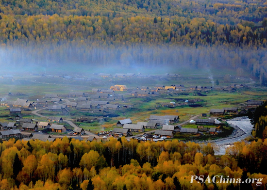 ��������Ʒ ��ľ��֮��.jpg