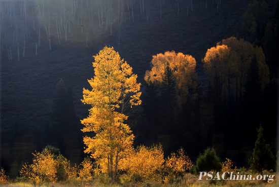 �˴����Ʒ������ɫ(��)��color of autumn.jpg