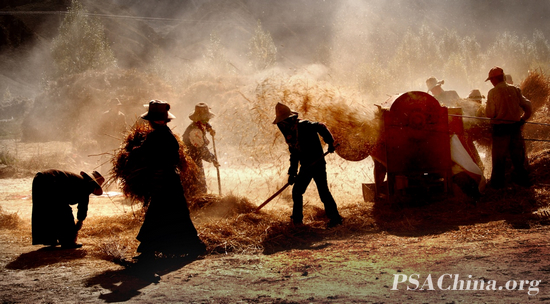 Gold UPI medal-��־����Ʒ�����Ͷ���labor.jpg