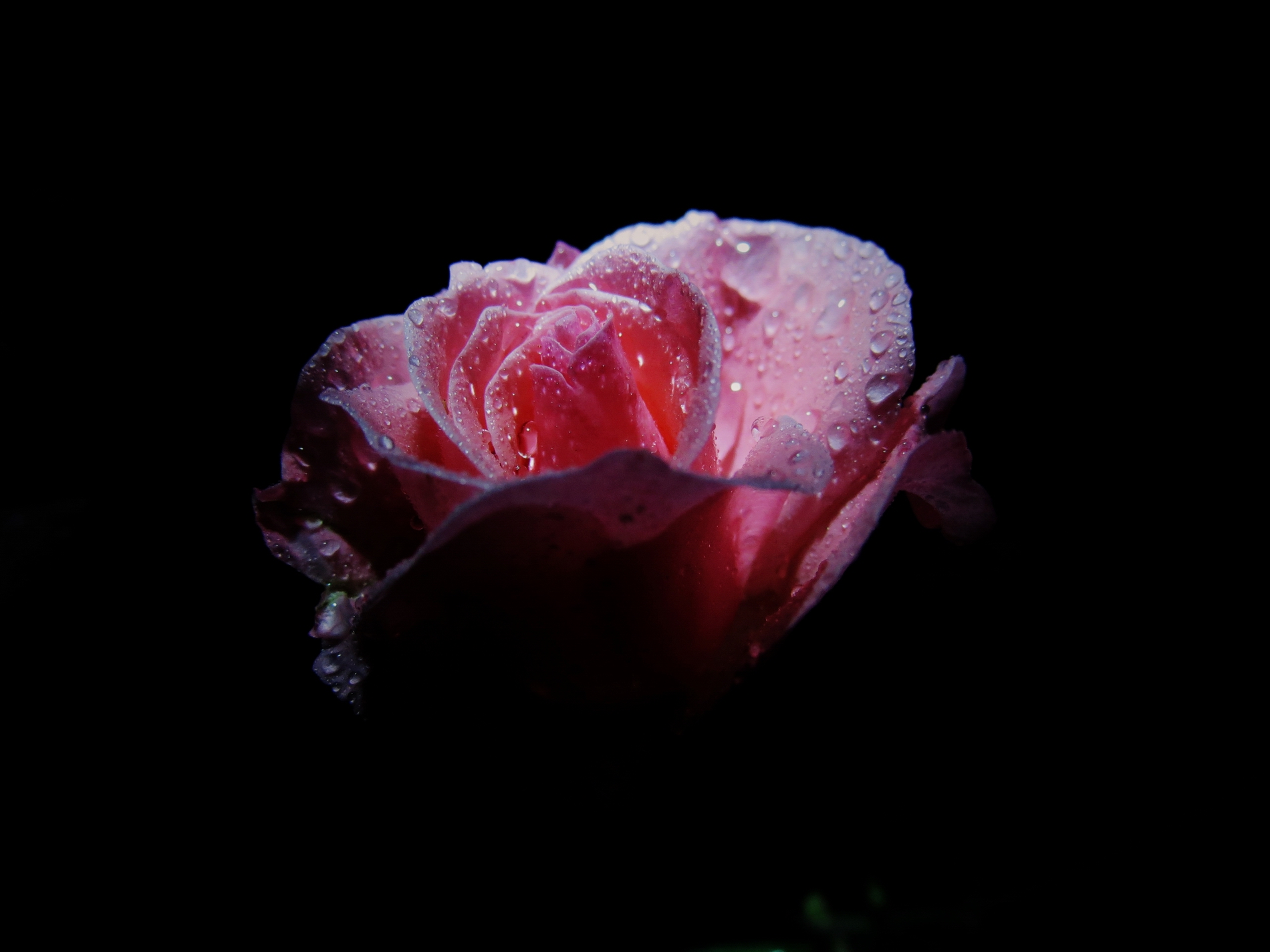 ��Լ�¹���