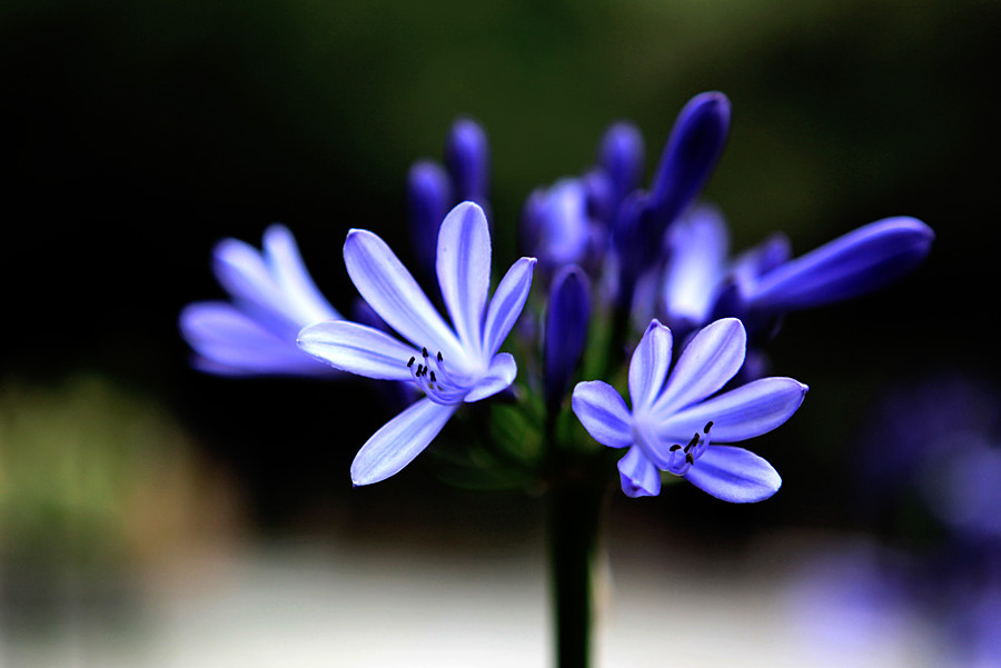 ������ 222_����.jpg