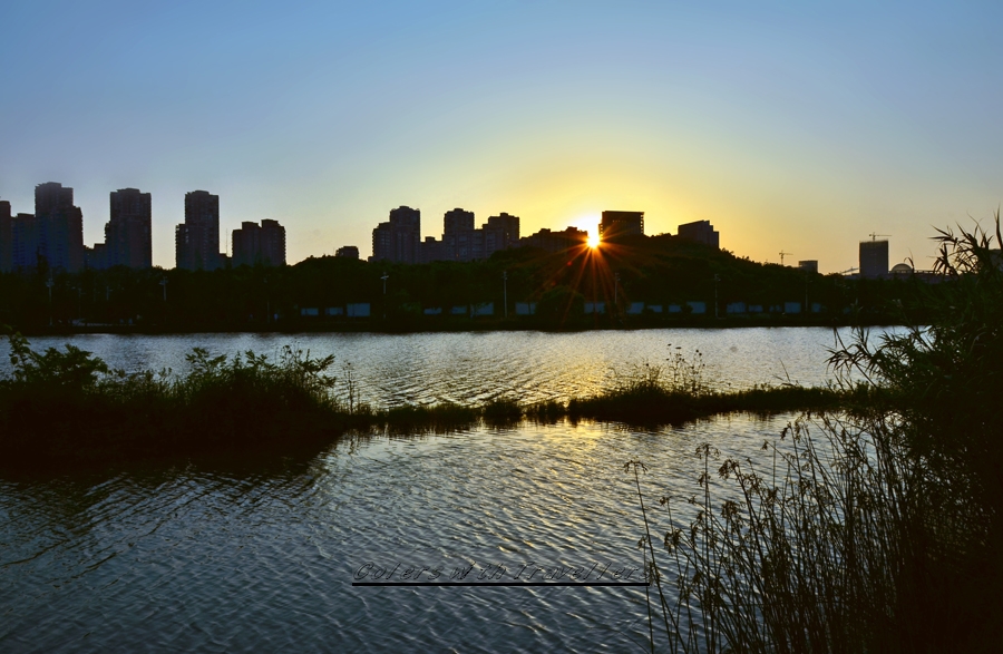 _DSC0894 ��������.jpg